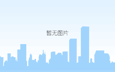 蓝牙卡(有源)